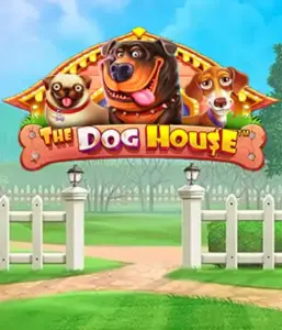 From Pragmatic Play comes The Dog House Slot, offering a fun-filled journey into the world of playful pups. Enjoy gameplay elements such as multipliers, designed for delivering joyful moments. Perfect for pet lovers an amusing theme with a chance for big wins.